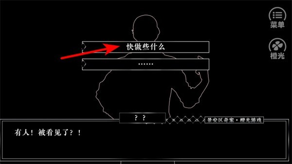 景安区奇案正版
