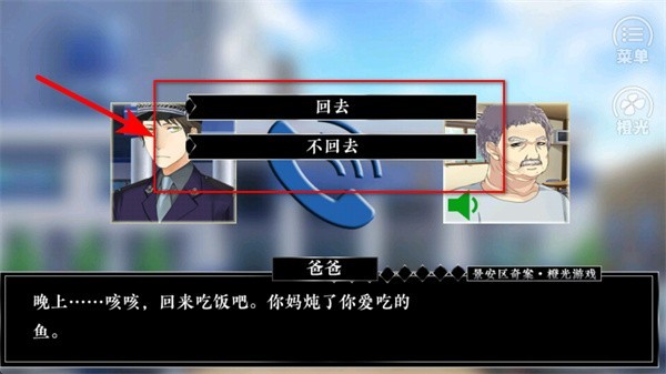 景安区奇案正版