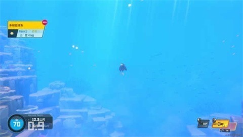 潜水员戴夫安卓版