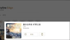 塞尔达传说荒野之息 截图