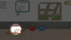 主播和猫的故事 截图