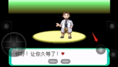 精灵宝可梦绿宝石 截图