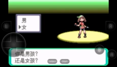 精灵宝可梦绿宝石 截图