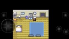 精灵宝可梦绿宝石 截图