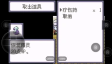 精灵宝可梦绿宝石 截图