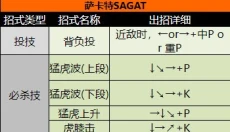 街头霸王2手机版 截图