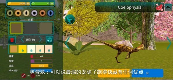 诅咒之岛