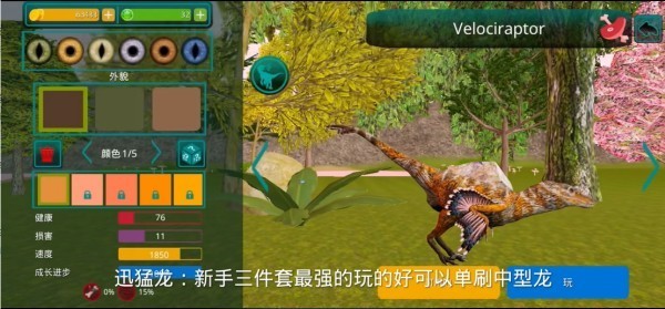 诅咒之岛