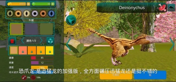 诅咒之岛