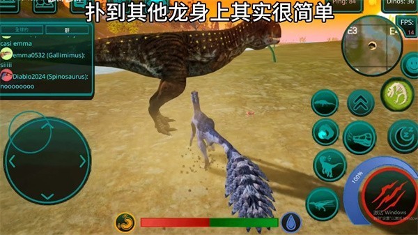 诅咒之岛