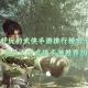 武侠