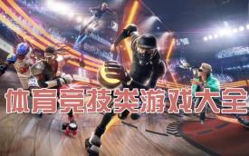 体育竞技游戏