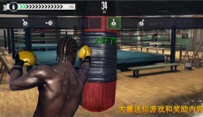 真实拳击手游 截图
