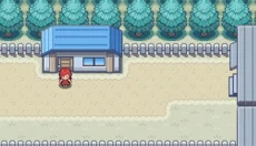 pokemmo 截图