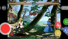 月华剑士2手机版 截图