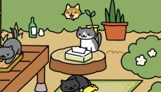 猫咪后院2汉化版 截图