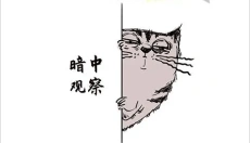 最强大脑3游戏 截图