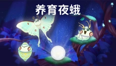 彩翼之星夜中文版 截图