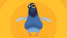 疯狂的鸽子pigeon 截图