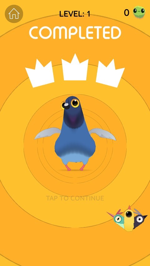 疯狂的鸽子pigeon