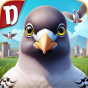 pigeon疯狂的鸽子