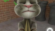 3D猫 截图