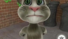 3D猫 截图
