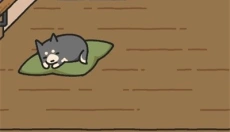 狗狗的使命 截图