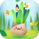 口袋植物app安卓版