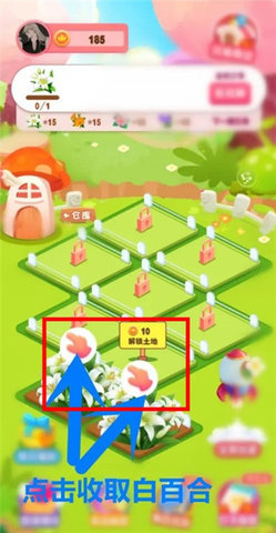 开心花园