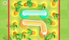 花园浇水3D 截图