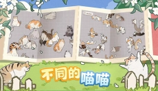 挤在一起的猫猫 截图