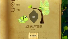 彩翼蝴蝶 截图