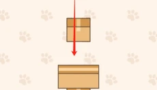 进来吧猫咪纸箱 截图