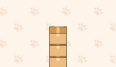 进来吧猫咪纸箱 截图
