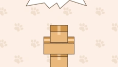 进来吧猫咪纸箱 截图