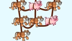 小手别动 截图