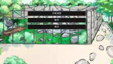 A岛动物园规则怪谈 截图
