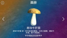 真实采集蘑菇模拟器 截图
