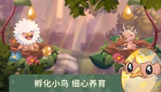 鸟类世界游戏 截图