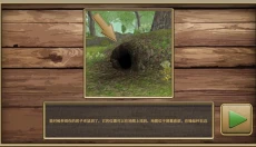 老鼠模拟器 截图
