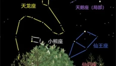 老农种树app官网 截图
