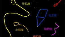 老农种树app官网 截图