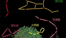 老农种树app官网 截图