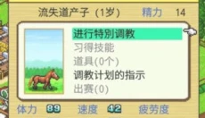 顶级跑马牧场汉化版 截图