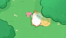 猫咪疗愈所 截图