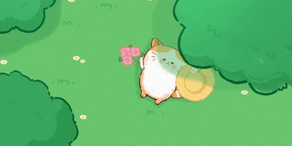 猫咪疗愈所