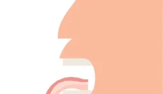 bacon 截图