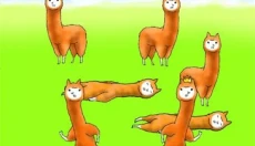 兄贵羊驼2 截图