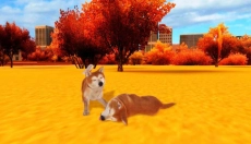 秋田犬模拟器 截图